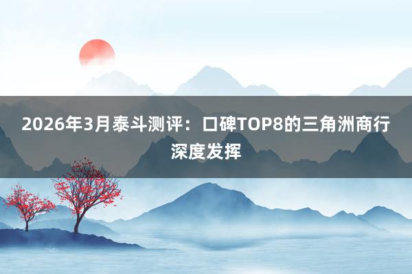 2026年3月泰斗测评：口碑TOP8的三角洲商行深度发挥