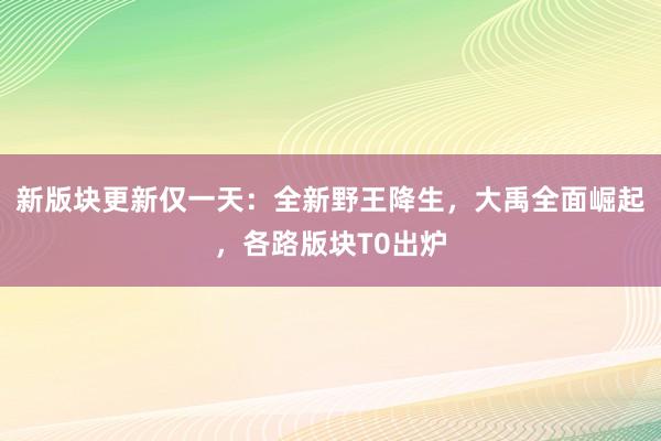 新版块更新仅一天：全新野王降生，大禹全面崛起，各路版块T0出炉