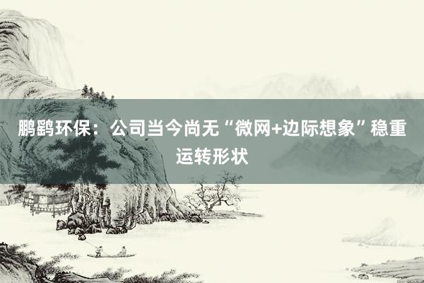 鹏鹞环保：公司当今尚无“微网+边际想象”稳重运转形状