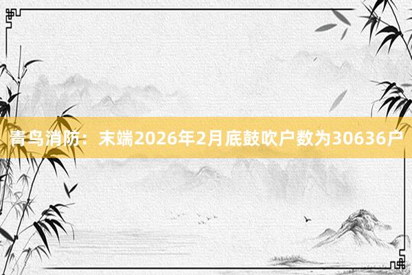 青鸟消防：末端2026年2月底鼓吹户数为30636户