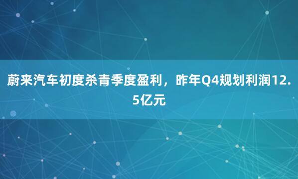 蔚来汽车初度杀青季度盈利，昨年Q4规划利润12.5亿元