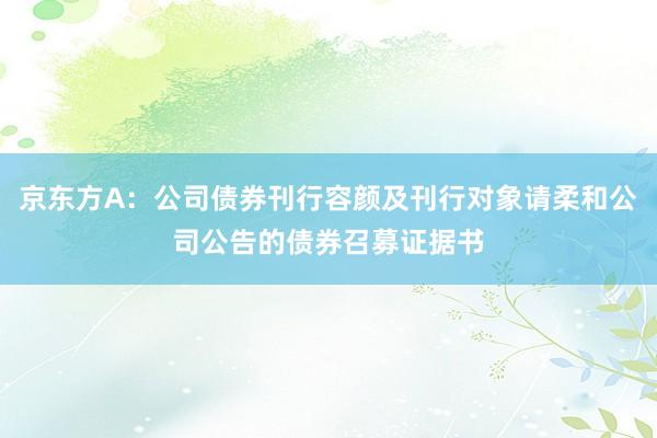 京东方A：公司债券刊行容颜及刊行对象请柔和公司公告的债券召募证据书