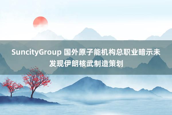 SuncityGroup 国外原子能机构总职业暗示未发现伊朗核武制造策划