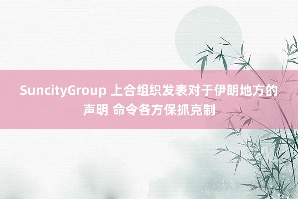 SuncityGroup 上合组织发表对于伊朗地方的声明 命令各方保抓克制
