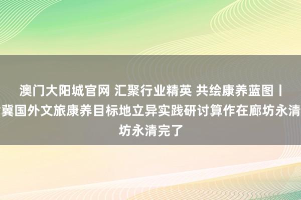 澳门大阳城官网 汇聚行业精英 共绘康养蓝图丨京津冀国外文旅康养目标地立异实践研讨算作在廊坊永清完了