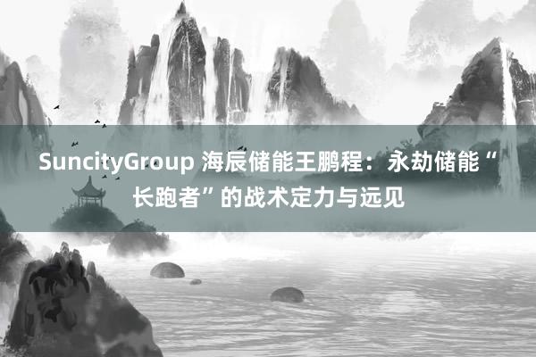 SuncityGroup 海辰储能王鹏程：永劫储能“长跑者”的战术定力与远见