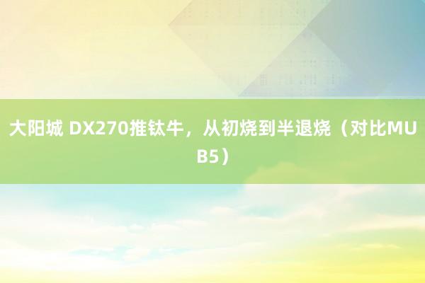 大阳城 DX270推钛牛，从初烧到半退烧（对比MUB5）