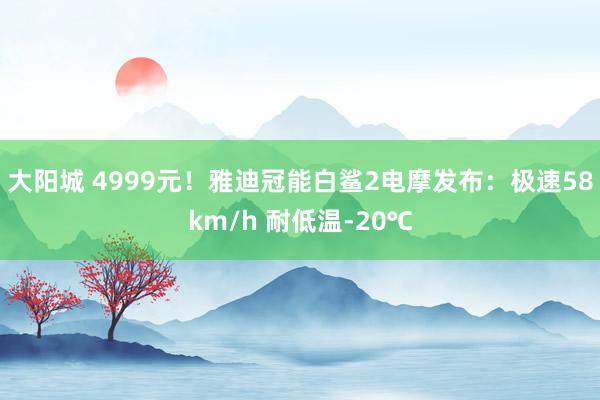 大阳城 4999元！雅迪冠能白鲨2电摩发布：极速58km/h 耐低温-20℃