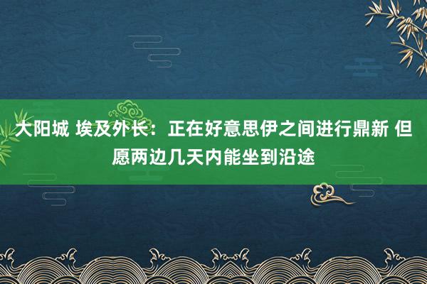 大阳城 埃及外长：正在好意思伊之间进行鼎新 但愿两边几天内能坐到沿途