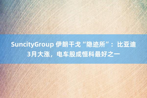 SuncityGroup 伊朗干戈“隐迹所”：比亚迪3月大涨，电车股成恒科最好之一