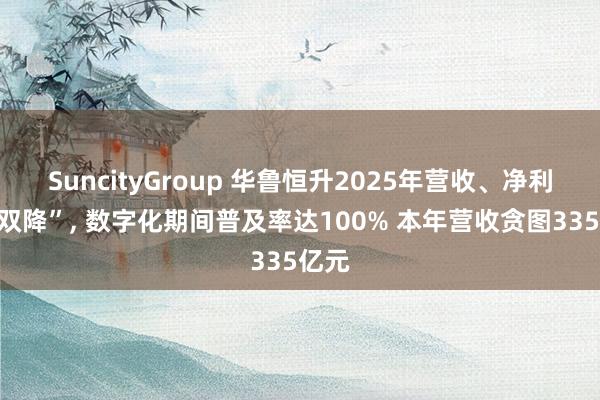 SuncityGroup 华鲁恒升2025年营收、净利润“双降”， 数字化期间普及率达100% 本年营收贪图335亿元