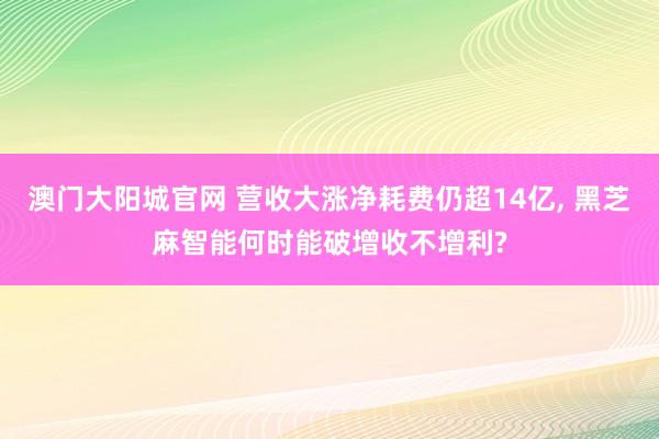 澳门大阳城官网 营收大涨净耗费仍超14亿， 黑芝麻智能何时能破增收不增利?
