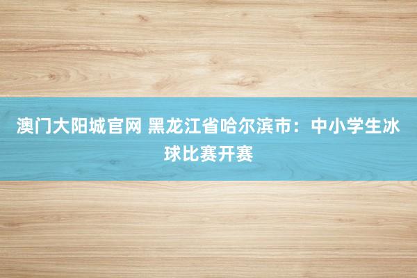 澳门大阳城官网 黑龙江省哈尔滨市：中小学生冰球比赛开赛