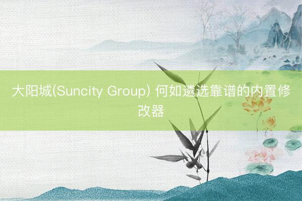 大阳城(Suncity Group) 何如遴选靠谱的内置修改器