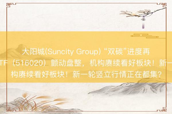 大阳城(Suncity Group) “双碳”进度再提速！华宝基金化工ETF（516020）颤动盘整，机构赓续看好板块！新一轮竖立行情正在都集？