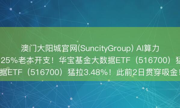 澳门大阳城官网(SuncityGroup) AI算力链“通胀狂欢”！字节加多25%老本开支！华宝基金大数据ETF（516700）猛拉3.48%！此前2日贯穿吸金！