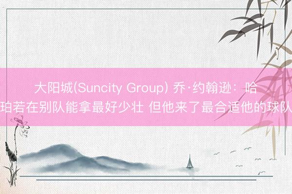 大阳城(Suncity Group) 乔·约翰逊：哈珀若在别队能拿最好少壮 但他来了最合适他的球队
