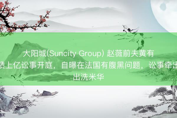 大阳城(Suncity Group) 赵薇前夫黄有龙被追债上亿讼事开庭，自曝在法国有腹黑问题，讼事牵出洗米华