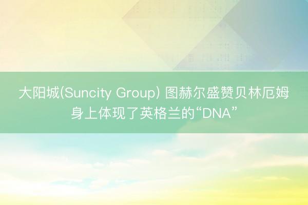 大阳城(Suncity Group) 图赫尔盛赞贝林厄姆身上体现了英格兰的“DNA”