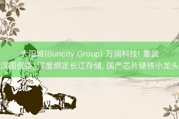 大阳城(Suncity Group) 万润科技! 靠武汉国资委， 深度绑定长江存储， 国产芯片硬核小龙头